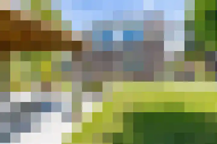 De Meerdammen 1 Alem thumbnail 58