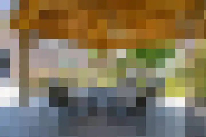 De Meerdammen 1 Alem thumbnail 59