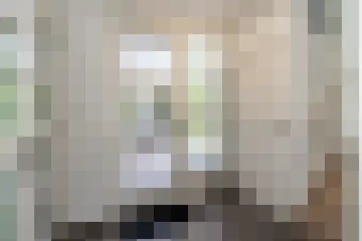 De Meerdammen 1 Alem thumbnail 6