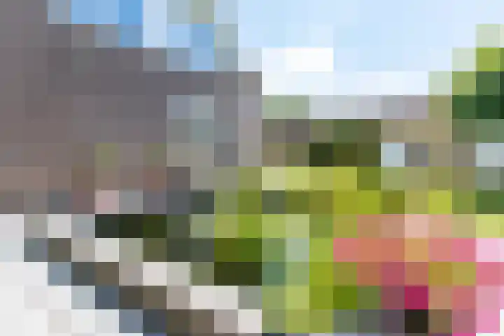 De Meerdammen 1 Alem thumbnail 60