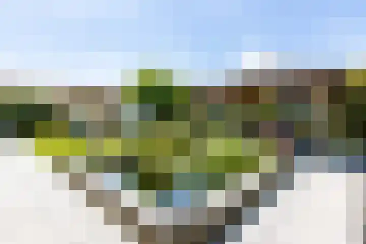 De Meerdammen 1 Alem thumbnail 61