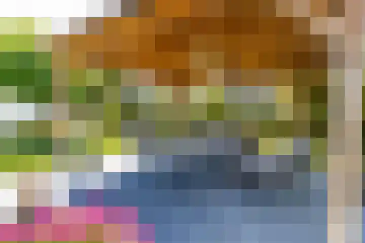 De Meerdammen 1 Alem thumbnail 62