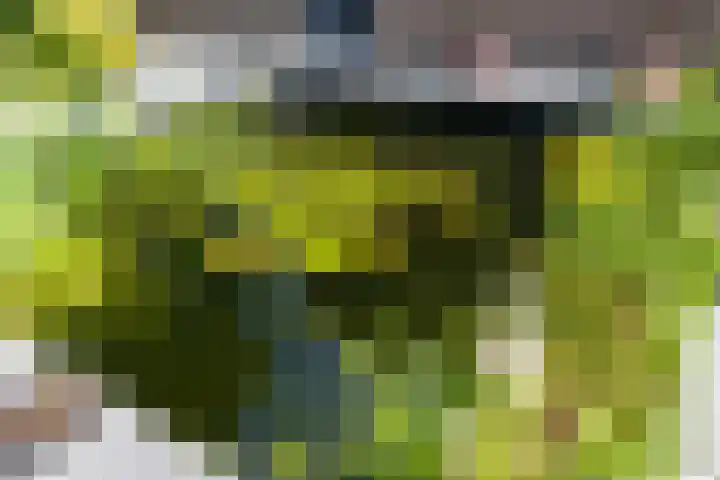 De Meerdammen 1 Alem thumbnail 63