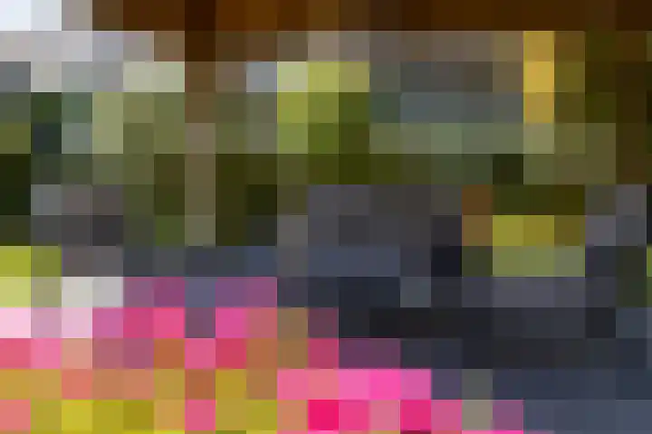 De Meerdammen 1 Alem thumbnail 64