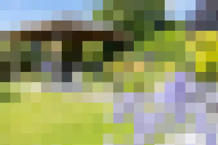 De Meerdammen 1 Alem thumbnail 65