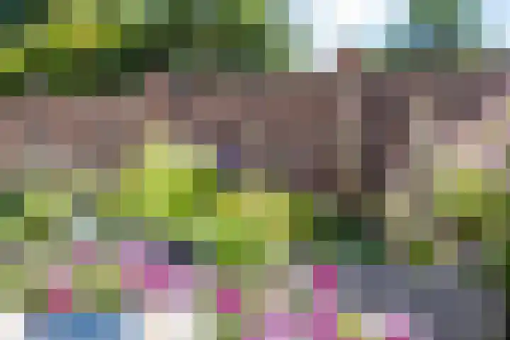 De Meerdammen 1 Alem thumbnail 66