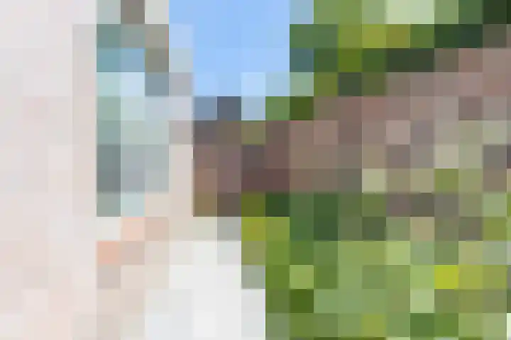 De Meerdammen 1 Alem thumbnail 67