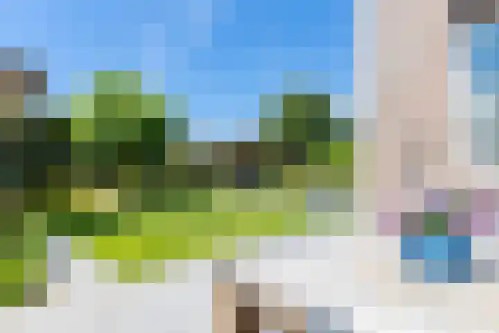 De Meerdammen 1 Alem thumbnail 69