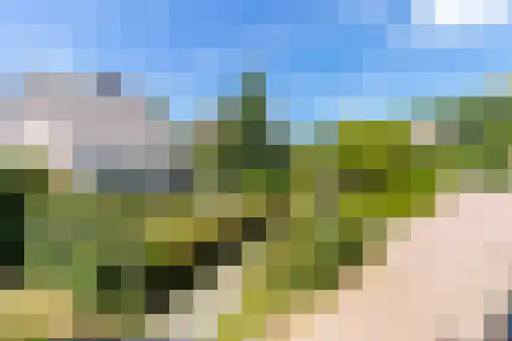 De Meerdammen 1 Alem thumbnail 74