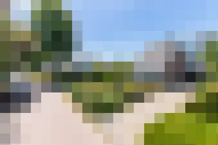 De Meerdammen 1 Alem thumbnail 75