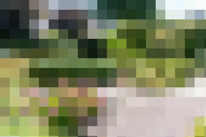 De Meerdammen 1 Alem thumbnail 76