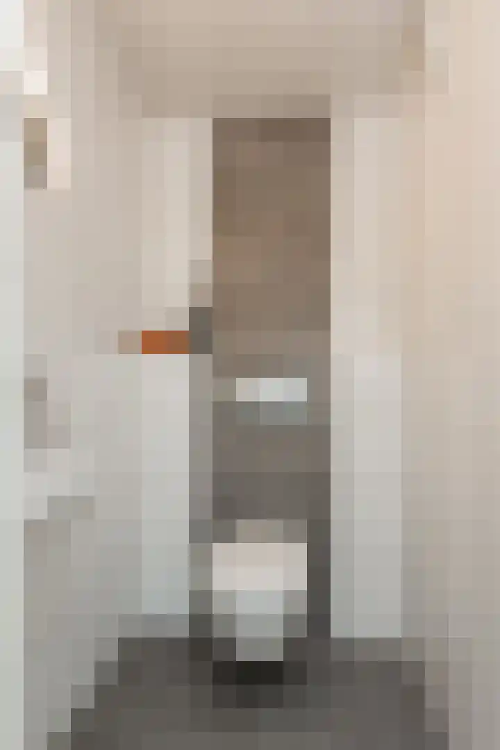 De Meerdammen 1 Alem thumbnail 8