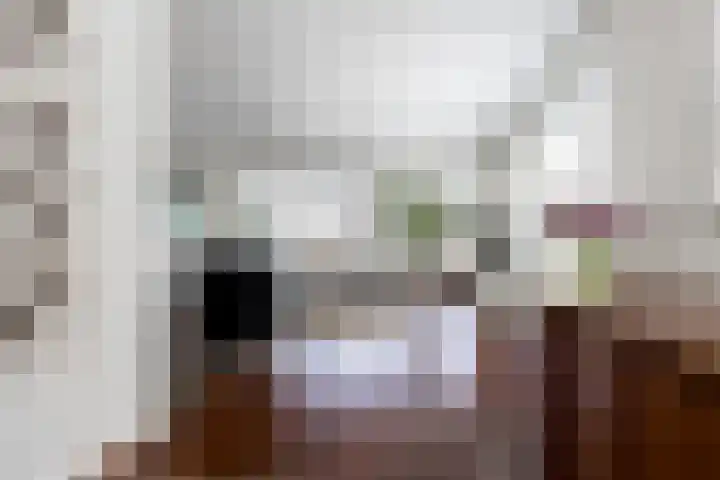 De Meerdammen 1 Alem thumbnail 9