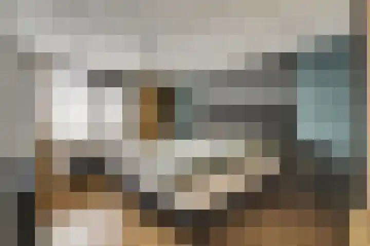 De Meeren 122 Zevenbergen thumbnail 17