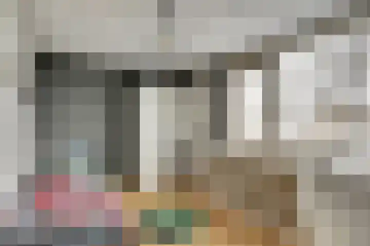 De Meeren 122 Zevenbergen thumbnail 26