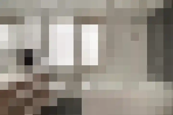 De Meeren 122 Zevenbergen thumbnail 29