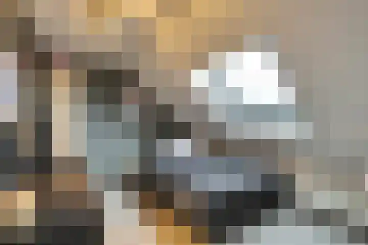 De Meeren 122 Zevenbergen thumbnail 31