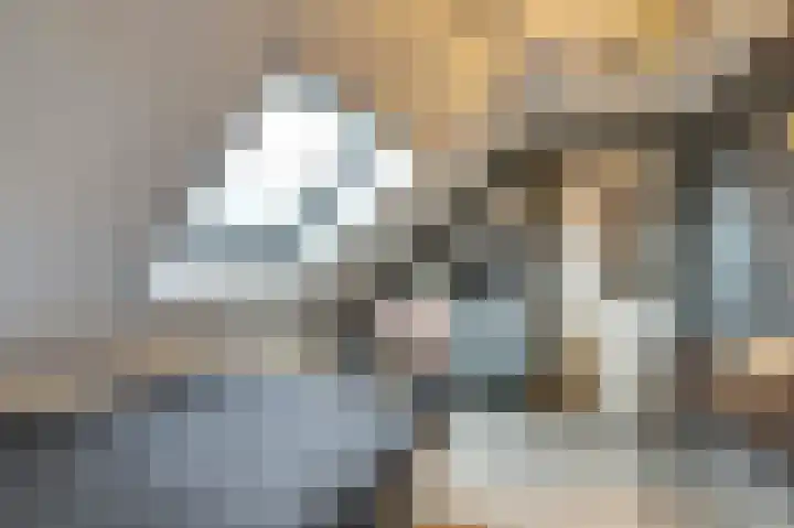 De Meeren 122 Zevenbergen thumbnail 32