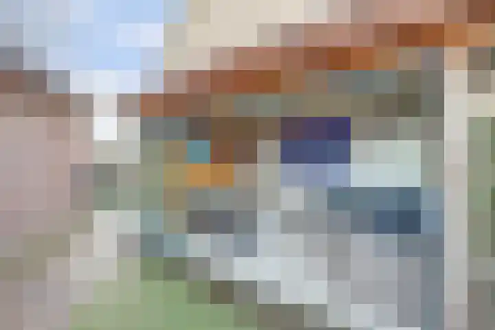 De Meeren 122 Zevenbergen thumbnail 41