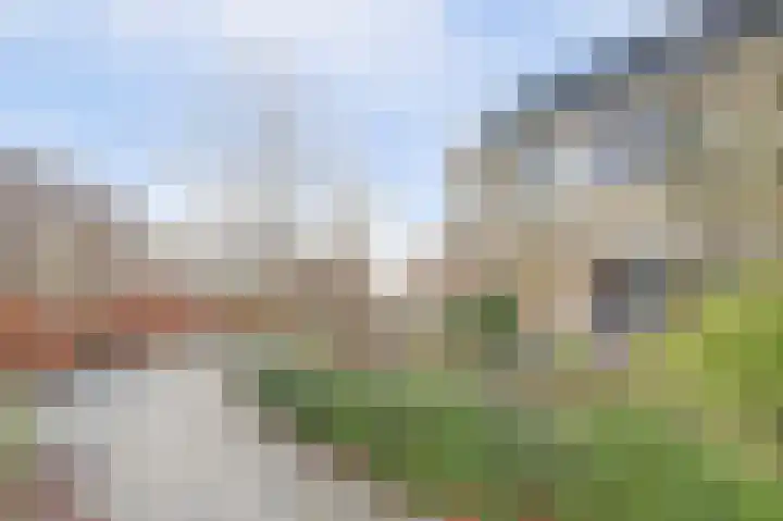 De Meeren 122 Zevenbergen thumbnail 46