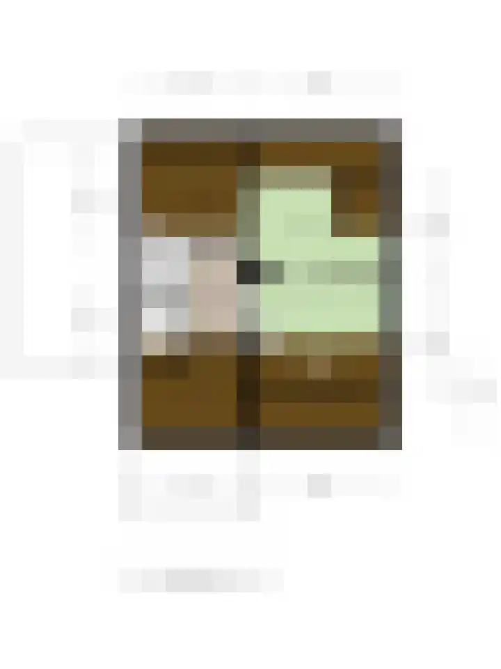 De Meeren 122 Zevenbergen thumbnail 53