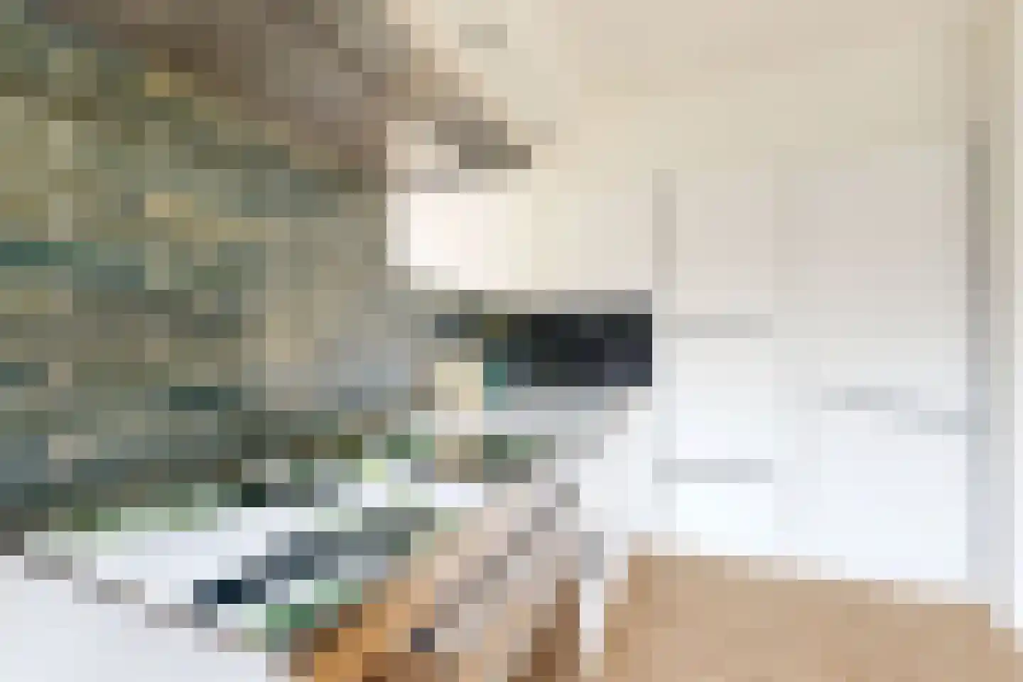 De Meeren 134 Zevenbergen thumbnail 26
