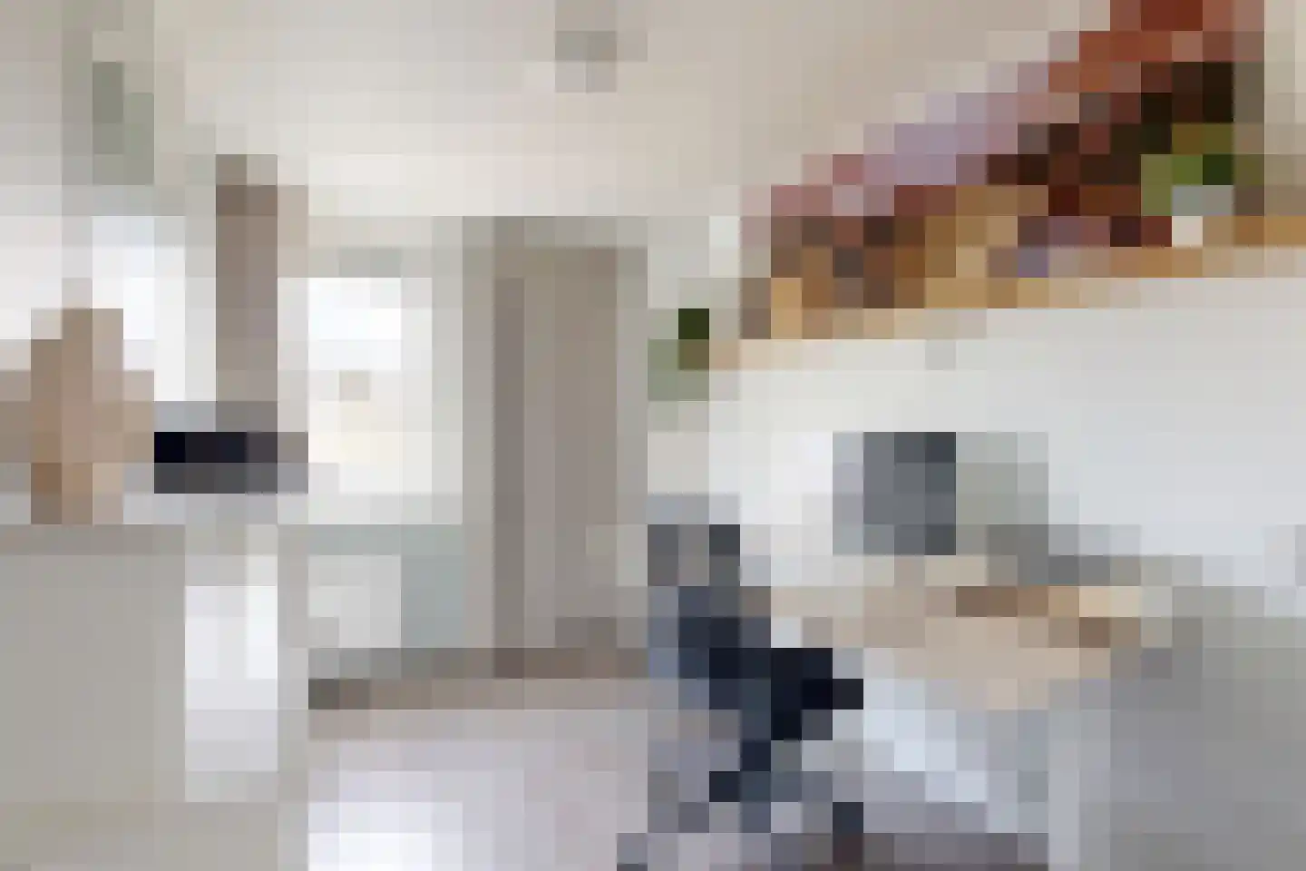 De Meeren 134 Zevenbergen thumbnail 38