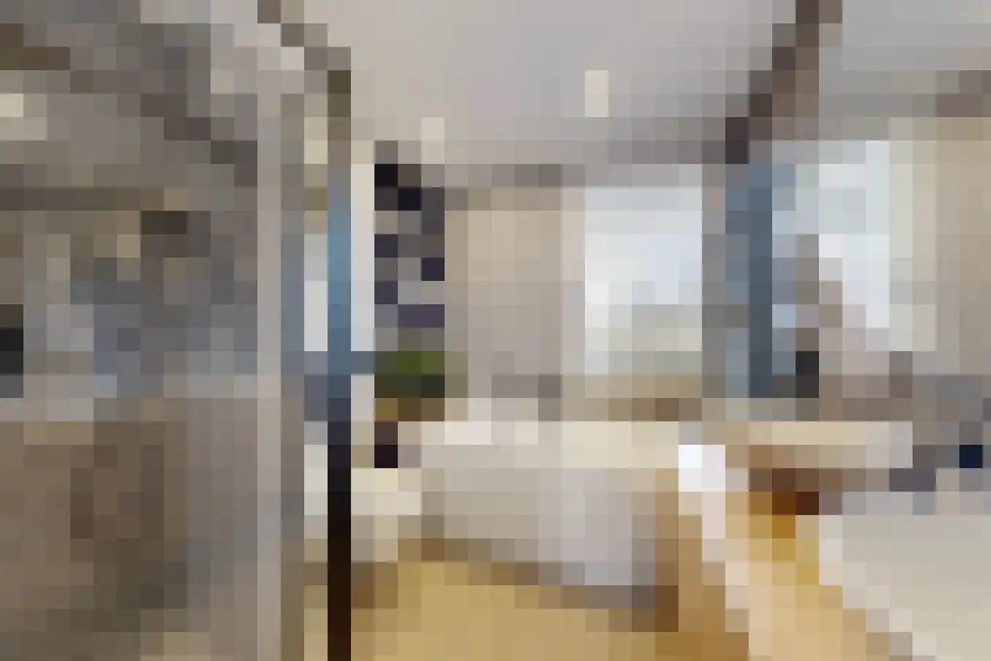 De Meeren 134 Zevenbergen thumbnail 39