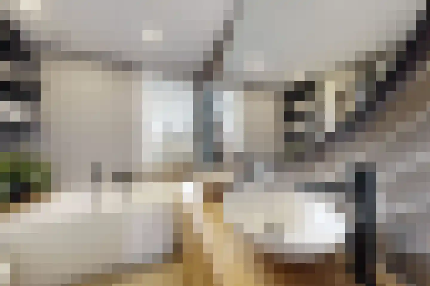 De Meeren 134 Zevenbergen thumbnail 40