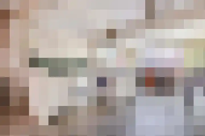 De Meeren 163 Zevenbergen thumbnail 13
