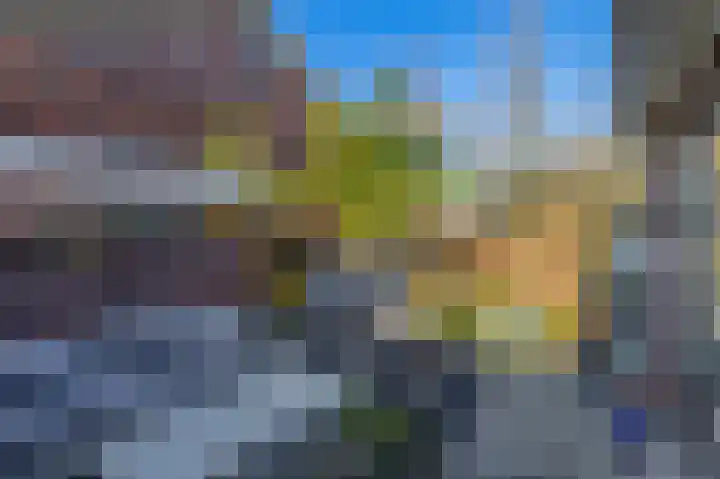 De Meeren 163 Zevenbergen thumbnail 27
