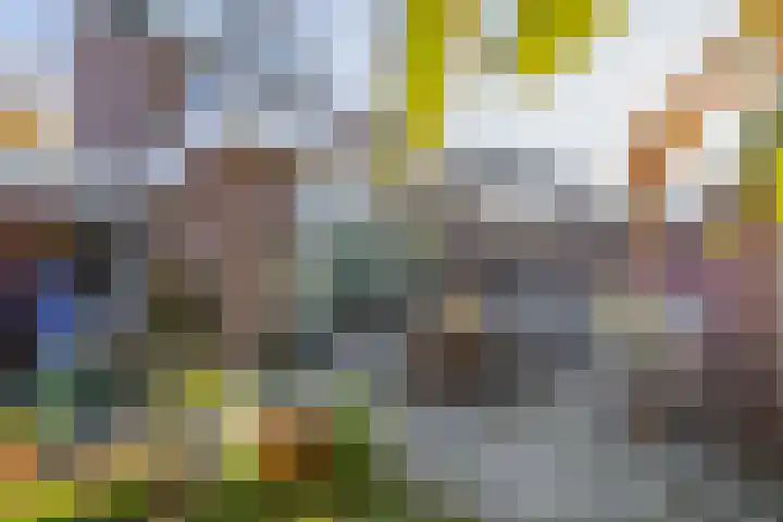 De Meeren 163 Zevenbergen thumbnail 28