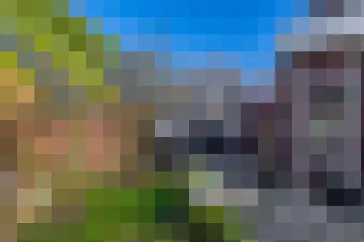 De Meeren 163 Zevenbergen thumbnail 29