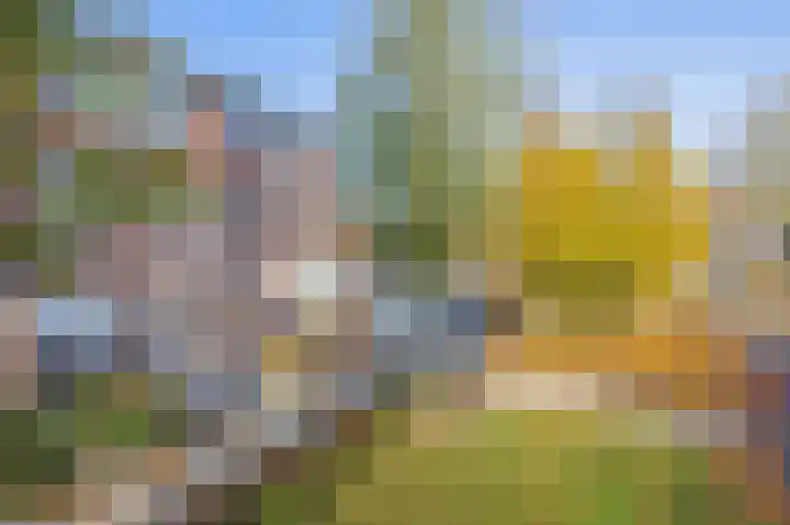 De Meeren 163 Zevenbergen thumbnail 30