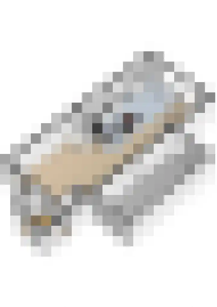 De Meeren 163 Zevenbergen thumbnail 33