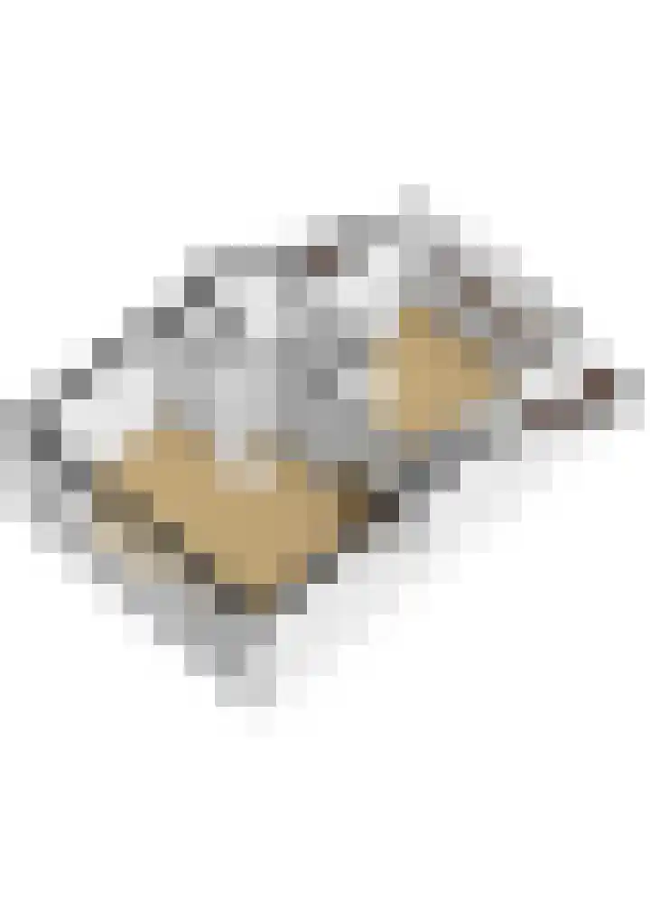 De Meeren 163 Zevenbergen thumbnail 37