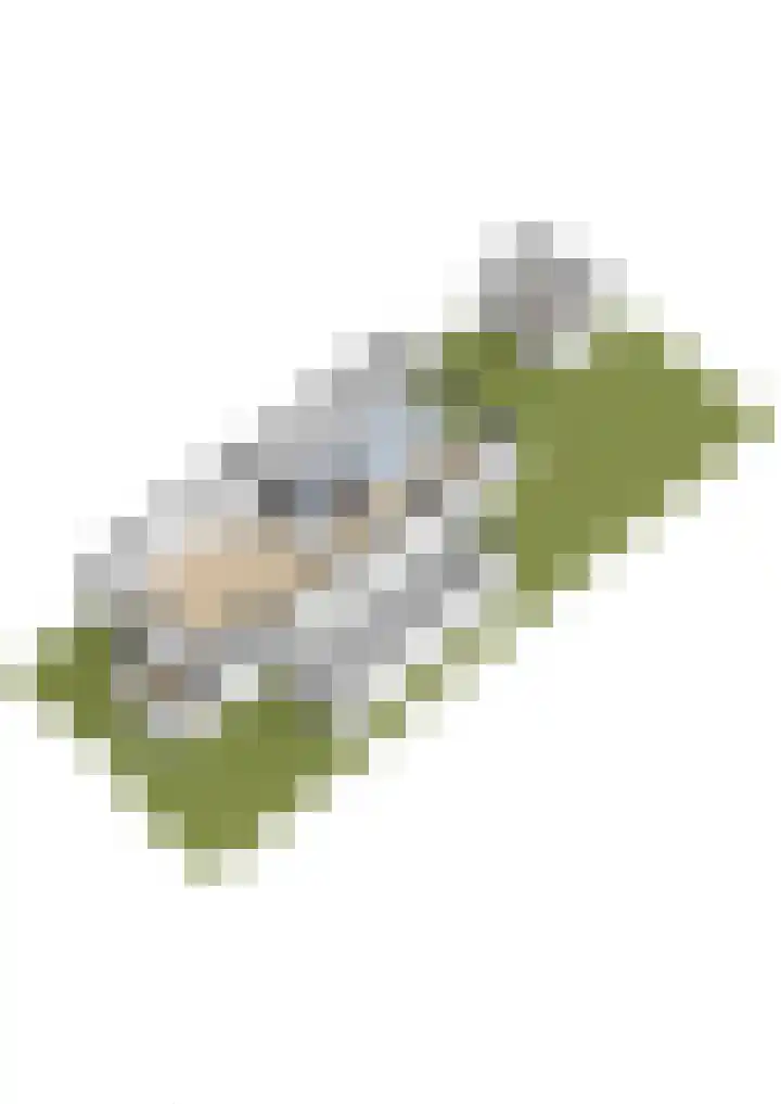 De Meeren 163 Zevenbergen thumbnail 43