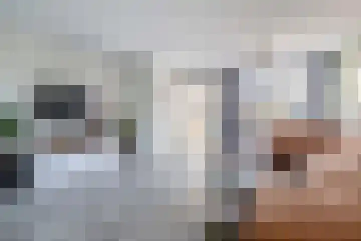 De Meeren 163 Zevenbergen thumbnail 9