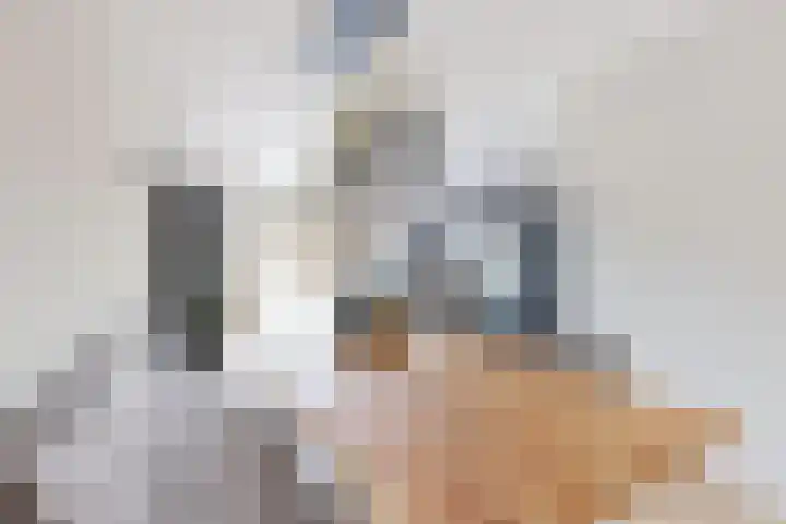 De Meeren 199 Zevenbergen thumbnail 17