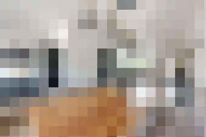 De Meeren 199 Zevenbergen thumbnail 20