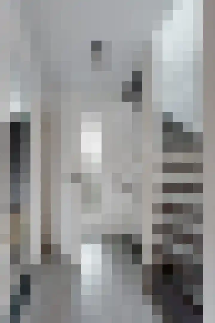 De Meeren 199 Zevenbergen thumbnail 32