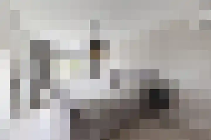 De Meeren 199 Zevenbergen thumbnail 33