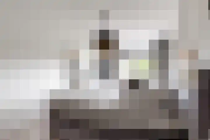 De Meeren 199 Zevenbergen thumbnail 36