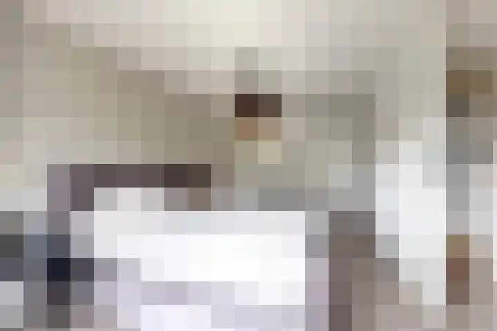 De Meeren 199 Zevenbergen thumbnail 4