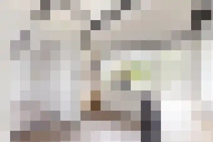 De Meeren 199 Zevenbergen thumbnail 55