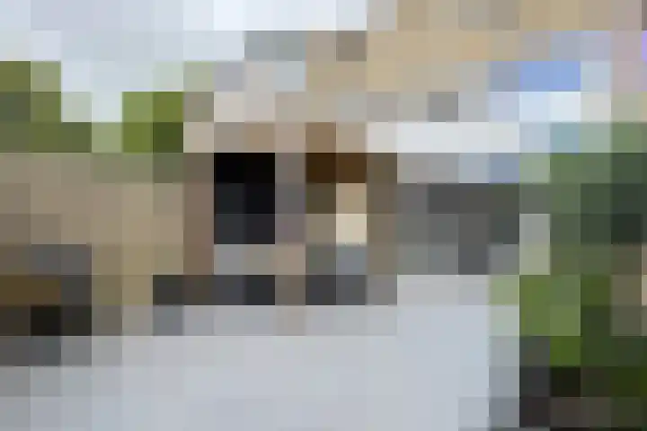 De Meeren 199 Zevenbergen thumbnail 66