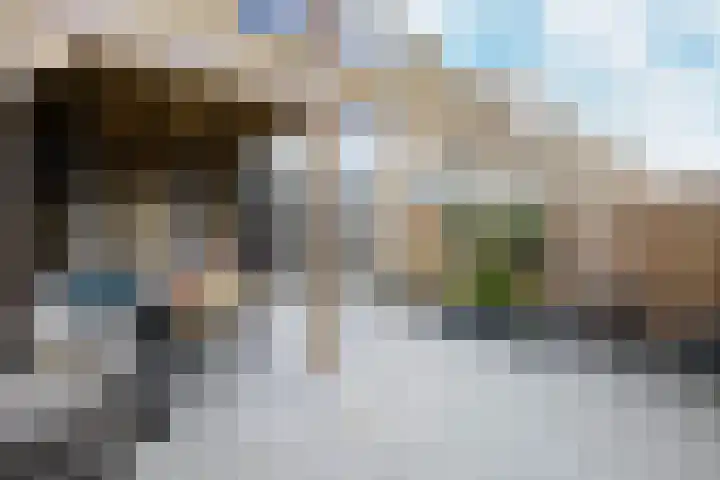 De Meeren 199 Zevenbergen thumbnail 68