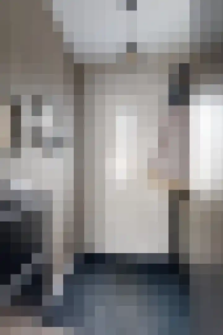 De Meeren 199 Zevenbergen thumbnail 7