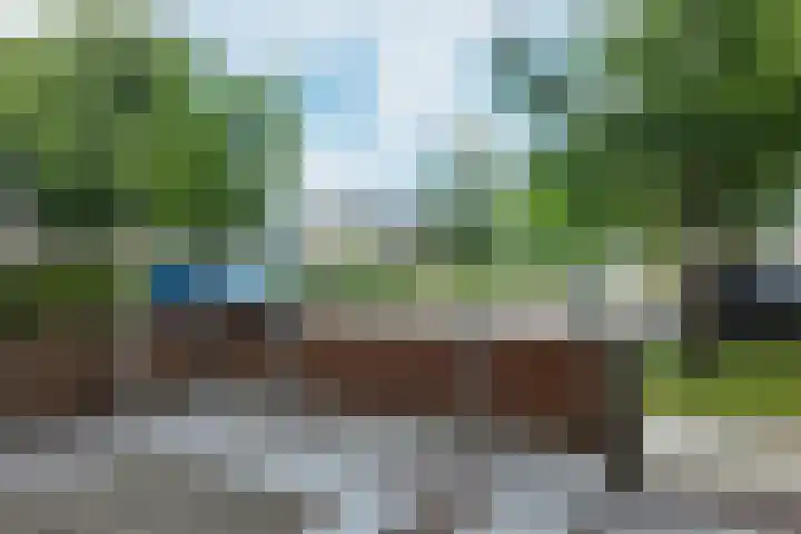 De Meeren 199 Zevenbergen thumbnail 70