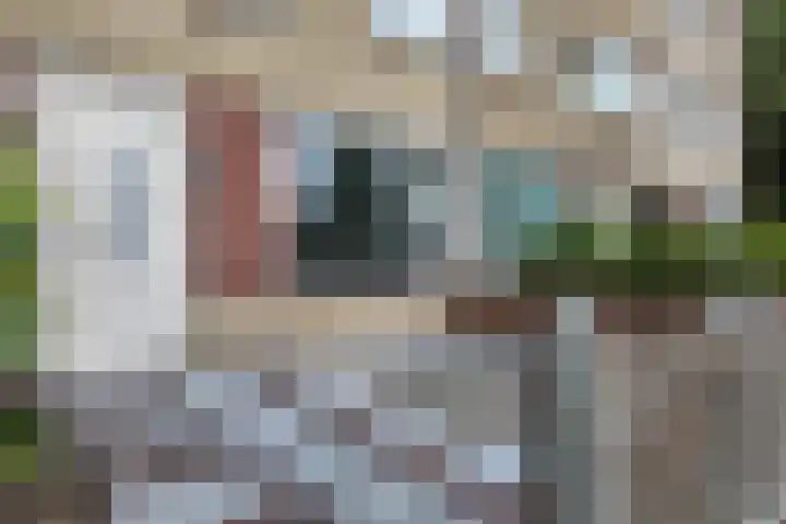 De Meeren 199 Zevenbergen thumbnail 71